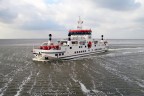 Veerboot Ameland Holwerd