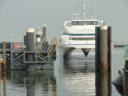Tiger in aanvaring met baggerschip Tiger in aanvaring met baggerschip